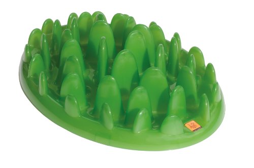 Company of Animals GREEN Slow Interactive Feeder for Dogs, Size Large, Best Fun Slow Feeder Dog Bowl, Anti-Gulp, Gobble Stopper, Mental Stimulation Dog Puzzle, Suitable for Small, Medium & Large Dogs - size: Large