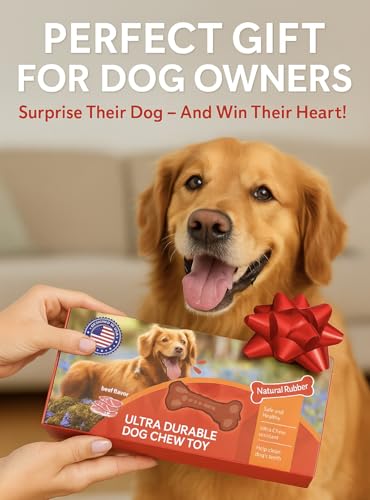 Dog Chew Toy - Natural Rubber Dog Toy, Beef Flavor – Dog Toys for Medium & Large Dogs - Bone-Shaped Chew for Dental Health - Indoor and Outdoor Play
