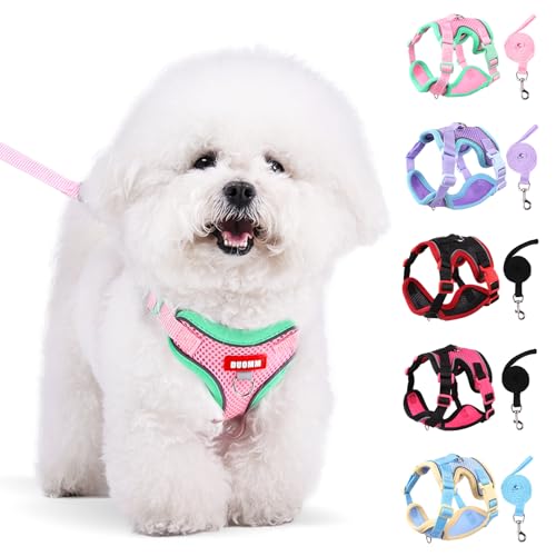 Coppthinktu Dog Harness with Leash Set for Small Sized Dogs Cats, No Pull Dog Harness Soft Mesh Cat Puppy Harness, Adjustable Reflective Step-in Pet Vest Harnesses for Outdoor Walking Training - color: Pink, size: Medium