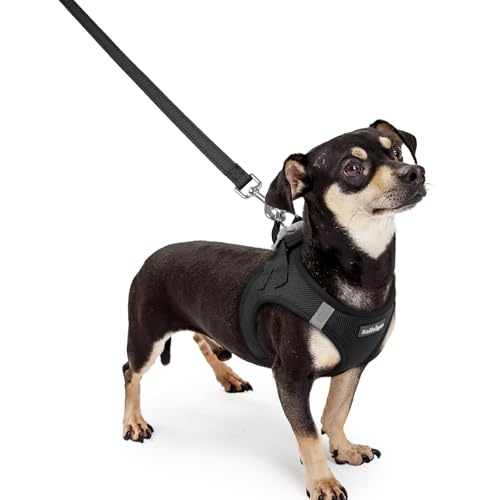 rabbitgoo Dog Harness Small Sized and Leash Set, Step in Soft Light Puppy Vest, Breathable Mesh Pet Harness, Reflective for Outdoor Safe Walking, Black XXXS - color: Black, size: Xxxs (chest: 10.8 - 11.8")