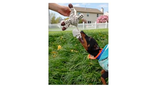 White Goat Dog Squeak Plush Toy with Rope – Durable Stuffed Dog Toy with Built-in Squeaker, Interactive Chew Toy for Teething Puppy, Small and Medium Dog - color: White Goat