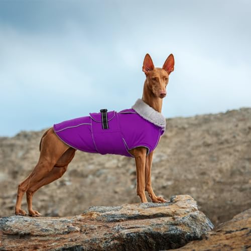 Lelepet Warm Dog Winter Coats for Small Dogs Waterproof Dog Jacket Reflective Pet Fleece Vest Windproof Cold Weather Coats with Adjustable Buckle & Leash Hole, Purple, S - color: Purple, size: S