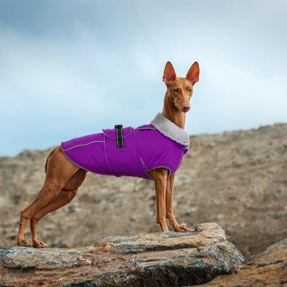 Lelepet Warm Dog Winter Coats for Small Dogs Waterproof Dog Jacket Reflective Pet Fleece Vest Windproof Cold Weather Coats with Adjustable Buckle & Leash Hole, Purple, S - color: Purple, size: S