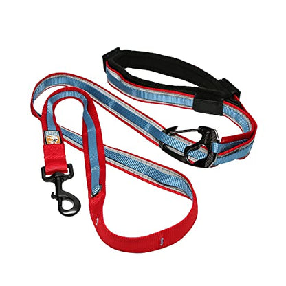 Quantum 2 Dog Leash Color: Red/Blue - color: Red/Blue