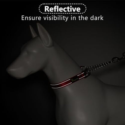 Plutus Pet Martingale Dog Collar with Stainless Steel Chain and Reflective Nylon, Adjustable No Pull Training Collar, for Small Medium, and Large Dogs, Red, S - color: Red, size: Small