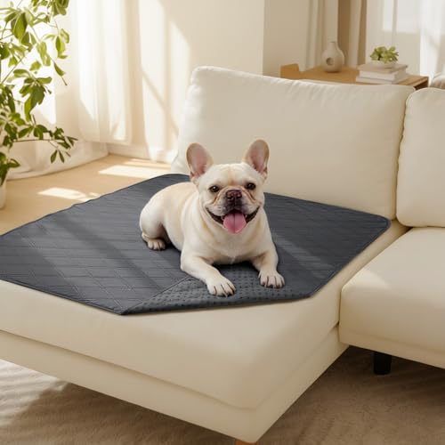 Luciphia 100% Waterproof Couch Cover Blanket for Dogs Anti-Slip Pet Couch Protector Sofa Mat Puppy Cat with Non-Slip Bottom, Grey, 40x50 Inch - color: Grey, size: 40" x50"