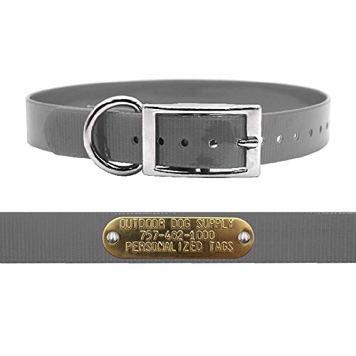 Outdoor Dog Supply 1" Heavy Duty Waterproof D-Ring Dog Collar for Medium & Large Dogs with Custom 3/4" Brass Nameplate (Silver, 18") - color: Silver, size: 18" Long