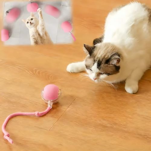 Interactive Cat Toys for Indoor Cats, Agility Move Cat Balls,Motion Activated Cat Balls, Cat Toys for Bored Indoor Cats (Pink) - color: Pink