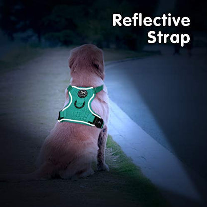 PoyPet Reflective Soft Breathable Mesh Dog Harness Choke-Free Double Padded Vest with Adjustable Neck and Chest(Mint Green,XS) - color: Mint Green, size: XS