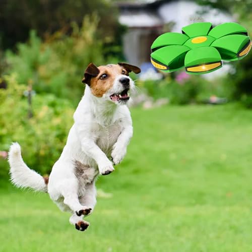 Magic Bouncing Ball, Magic Meta - Ball, Children's Magic Bouncing Balls, Doggy Disc Ball, Flying Saucer Ball, Parent-Child Interaction with Lights for Indoor & Outdoor Play Green and Blue - color: Green