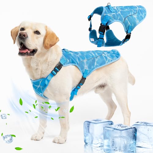 EXPAWLORER Dog Cooling Vest Harness for Summer, Breathable Mesh Reflective Cooler Harness for Hot Weather Outdoor Hiking Beach, Adjustable Lightweight Pet Jacket with D-Ring for Medium Large Dogs Blue - color: Blue, size: Medium