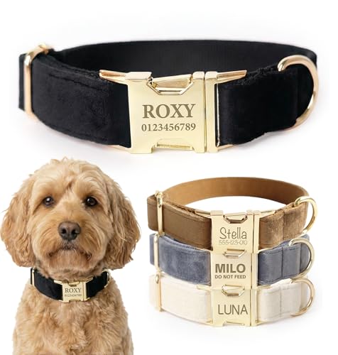 Dog Collar Personalized with Name Engraved - Light Gold Quick Release Buckle, Soft Velvet Lined, Comfortable Gift for Small, Medium, Large Dogs - color: Black, size: M