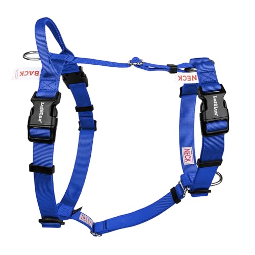 Non Restrictive Dog Harness, Easy Walk Freedom No Pull Harness, Keep Balance, Lightweight, Neck Buckle, 2 Clips for Back/Front Clip, Sewn-in Instructions Labels for Easy Use (Blue, X-Small) - color: Blue, size: XS
