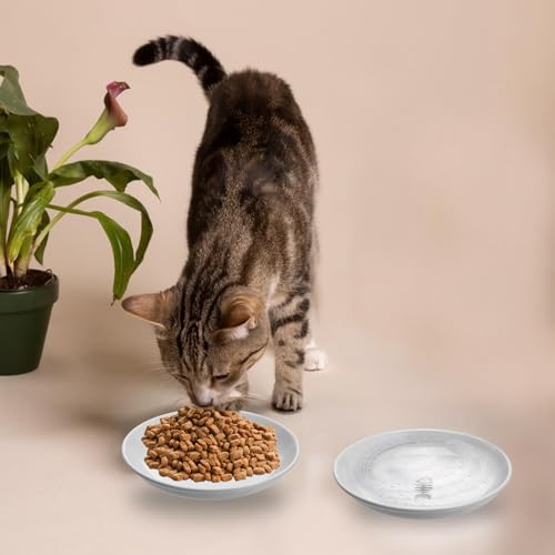 Cat Food Bowl 6 Pack Ceramic Cats Bowl Anti Whisker Fatigue Cat Dishes 5.91 Inch Cats Food Tray Shallow Wide Feeding Kitten Plate Cute Paw Fishbone Pattern Water Dish for Indoor Wet Dry Foods Pet