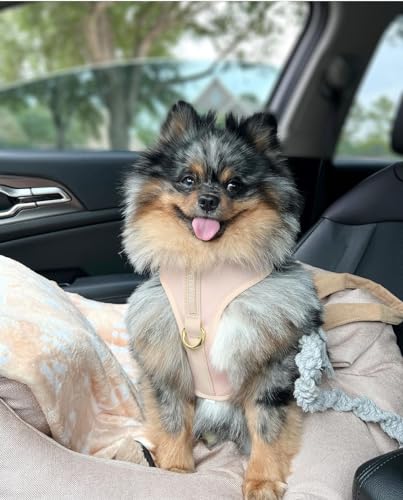Premium No-Pull Dog Harness Soft Neoprene & Breathable Mesh Vest with Front & Back Clip D-Rings Adjustable Lightweight Walking Harness for Puppies, Small & Medium Dogs (Rose Beige, XS) - color: Rose Beige, size: XS: Neck 10.6-14.2'', Chest 14.2-18.9''