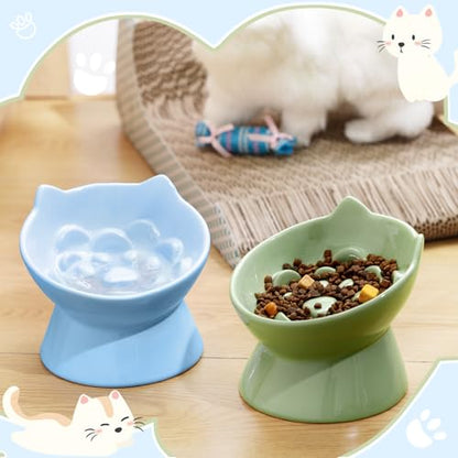 Funnymoom 2 Pcs Ceramic Raised Slow Feeder Cat Bowl, 5.91inch Elevated Cat Slow Feeder Bowl Tilted Anti Vomiting for Dry Wet Food and Water Easy to Clean High Edge(Green, Blue) - color: Green, Blue