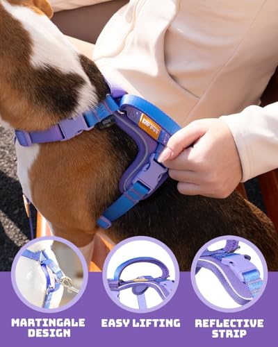 DF Freedom No Pull Martingale Dog Harness & Leash Set, Front Clip Adjustable Harness with Reflective & Padded Handle, Easy Walking & Training, Rainbow, 3/4", Chest 20" - 26.8"