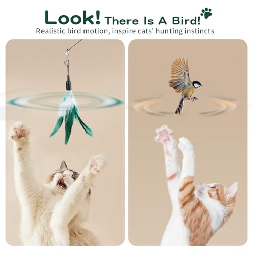 Pawaboo Feather Teaser Cat Toy, Interactive Feather Wand Cat Toy Flying Feather Cat Catcher with Extra Long 34.5" Wand and Small Bell, Fun Exerciser Playing Toy for Kitten or cat, White & Green - color: White & Green