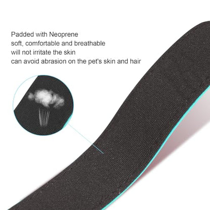 Dog Collars Adjustable for Puppy and Small Dogs,Heavy Duty Waterproof Dog Collar with Quick Release Buckle,Girl Boy Female Male Reflective Nylon Dog Collar with Soft Neoprene Padded,XS,Turquoise - color: Turquoise, size: X-Small