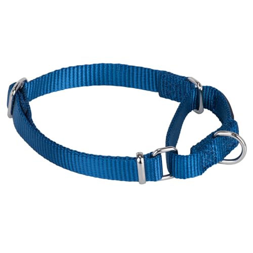 Martingale Collar for Dogs Small Blue |Escape - Proof Heavy Duty Nylon Durable No Buckle, Ideal for Training & Daily Walks - color: Classic blue, size: Small
