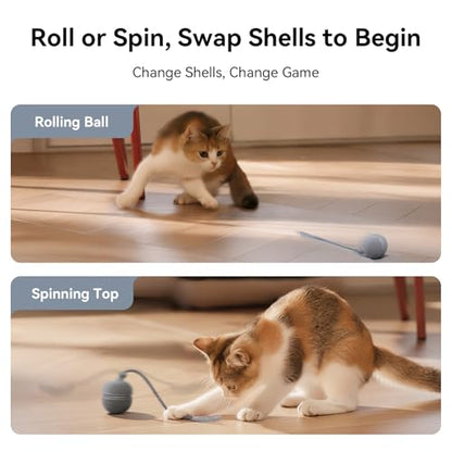 Cheerble 2 in 1 Interactive Cat Toys for Indoor Cats - Wicked Ball Duo2 Automatic Cat Toy, Dual Interchangeable Shells, Electric Cat Toy Ball with Chirping Sounds,Rechargeable Moving Kitten Toys, Blue - color: Blue