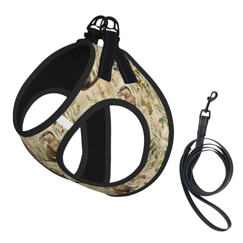 Otters Pet Harness Escape Proof Dog Harness Adjustable Mesh Padded Reflective Dog Vest Harness and Leash Set Small - color: Style 4, size: Small