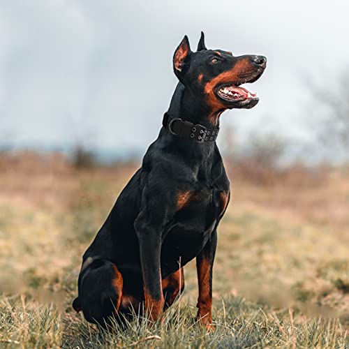 Tactical Dog Collar with Handle, Military Adjustable Heavy Duty Metal Buckle Dog Collars Soft Nylon Training Collar for Medium Large Dogs (Black, Medium) - color: Black-HD, size: M