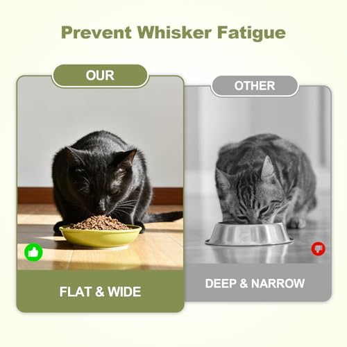 SPUNKYJUNKY Shallow Elevated Cat Bowl with Acacia Wood Stand Wide Raised Ceramic Cat Dishes Whisker Friendly Pet Food and Water Plates (Striped Pattern, Green) - color: Green