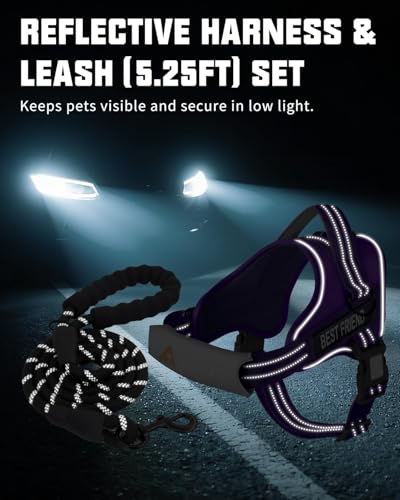 AUROTH Dog Harness and Leash Set, Soft Padded Service Dog Vest with 5.25FT Dog Leash, No Choke, Easy On Pet Vest, Adjustable Reflective No Pull Dog Harness Small Sized Dog, Easy Walking and Training - color: Purple, size: Small