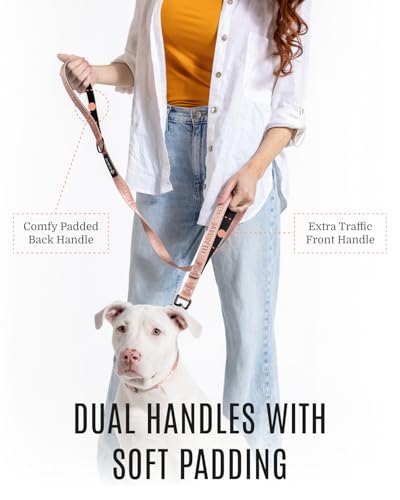 Fei & Eve Classic Dog Leash - 6FT, Dual Padded Handles, 360° Swivel Hook, Heavy Duty 210D Nylon - No-Pull Design with Traffic Control Handle - for Small/Medium/Large Dogs, Blush - color: Blush, size: 6FT