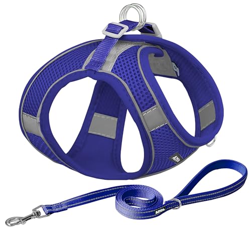 AIITLE Dog Harness, No-Pull Cat Harness with a Leash, Adjustable Reflective Dog Vest, Cat Harness Escape Proof, Outdoor Walking, Running,Training for Extra Small Dogs and House Cats Royal Blue XXXS - color: Royal Blue, size: XXXS(Chest: 8.5 - 10")