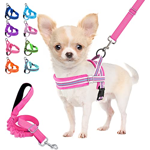 Lukovee No Pull Dog Harness and Leash Set, Soft Padded Small Dog Harness, Neck & Chest Adjustable Reflective Vest Puppy Harness with 4ft Lightweight Anti-Twist Dog Leash for Small Dogs (XXS, Fuschia) - color: Fuchsia - with Stripe, size: XXS ( Chest 11.5'