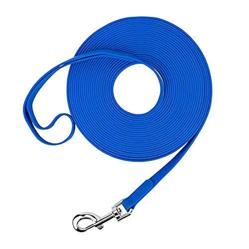 Waterproof Long Leash Durable Dog Recall Training Lead Great for Outdoor Hiking, Training, Yard, Beach and Swimming (Blue, 10ft) - color: Blue, size: 10ft