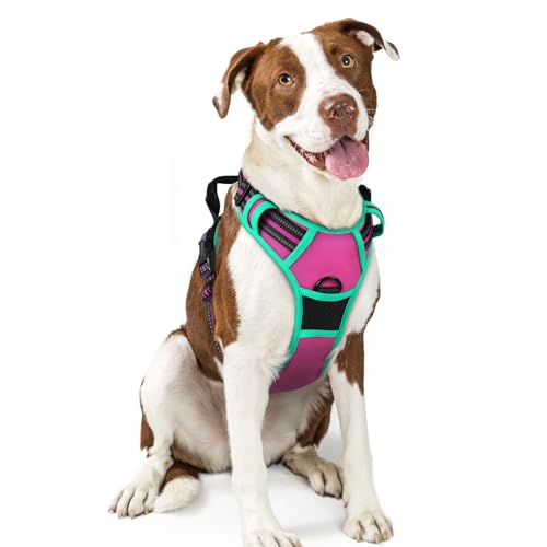 rabbitgoo Dog Harness No Pull with 2 Leash Clips, Adjustable Soft Padded, Reflective Oxford No Choke Pet Vest with Easy Control Handle for Large Dogs, Hot Pink & Turquoise, L - color: Hot Pink & Turquoise, size: Large