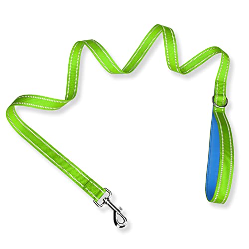 PHOEPET 5 Feet Dog Leash - Dual-Side Reflective - Soft Padded Handle - Fit for Walking, Training or Exploring Hiking, Camping (Green + Blue Base) - color: Green + Blue Base