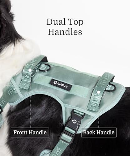 2026 New Edition, Fei & Eve Classic Dog Harness - Quick-Release Buckles | 3-Point No-Pull Control | Heavy-Duty 900D Nylon | Dual Safety Handles | Breathable Mesh | Adjustable Fit | Large,Green - color: Glacier Green, size: L