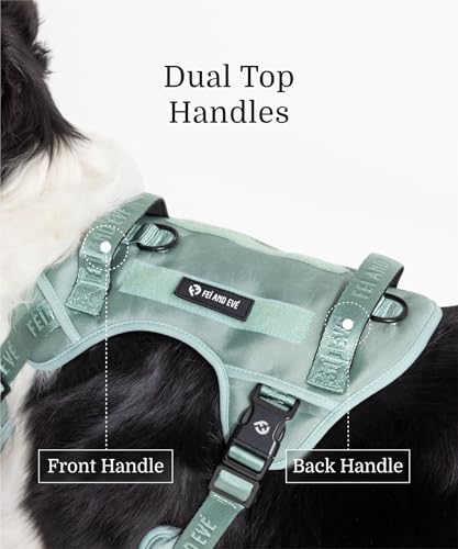 2026 New Edition, Fei & Eve Classic Dog Harness - Quick-Release Buckles | 3-Point No-Pull Control | Heavy-Duty 900D Nylon | Dual Safety Handles | Breathable Mesh | Adjustable Fit | X-Large,Green - color: Glacier Green, size: XL