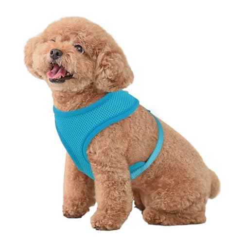 MoNiBloom Dog Harness for Small Sized Dog, Soft Puppy Padded Vest for Walking, Running, Training - Sky Blue, S - color: Sky Blue, size: S