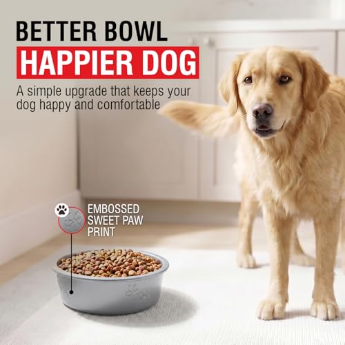 Loving Pets Dolce Luminoso Dog Bowl, Large, Silver - color: Silver, size: Large