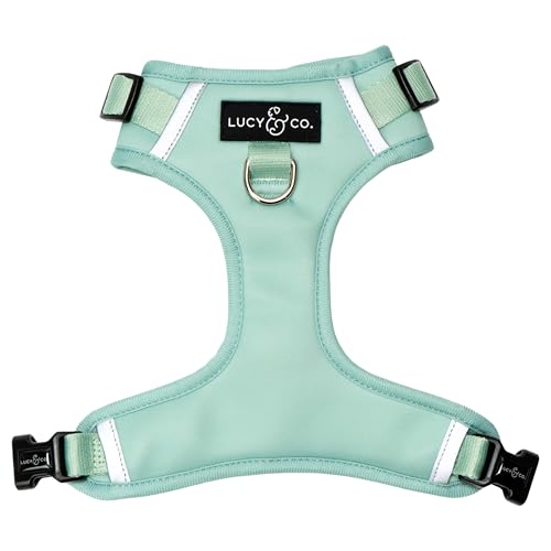 Lucy & Co. The Spring Green No-Pull Dog Harness - Size Small- Vest to Stop Pulling & Walk Easy - Comfortable Leash Training Product w/Adjustable Chest & Neck Straps - color: The Spring Green No-Pull Harness, size: Small