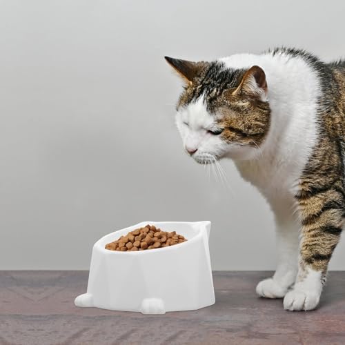 Kisangel Ceramic Raised Cat Bowl with Neck Protection, Elevated Kitten Feeding Dish, Whisker Relief Pet Food Bowl for Indoor Cats and Small Dogs
