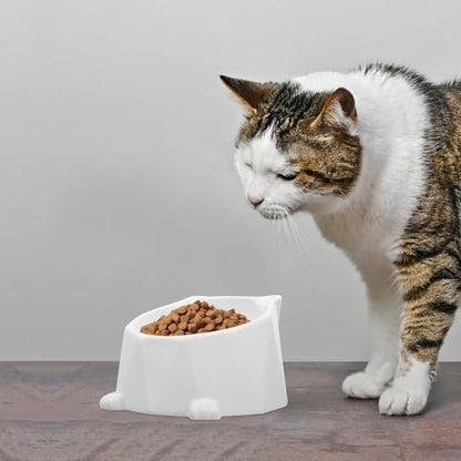 Kisangel Ceramic Raised Cat Bowl with Neck Protection, Elevated Kitten Feeding Dish, Whisker Relief Pet Food Bowl for Indoor Cats and Small Dogs