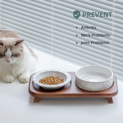 Havniva Cat Food Bowl, 6.1" Raised Cat Bowls with Acacia Wood Stand, Elevated Cat Dishes Ceramic Pet Food & Water Bowl Set, Extra Wide Whisker Friendly Elegant Pet Dish for Kitten, Cats, Puppy - color: 1Bowl+1Dish+Stand- Arctic White