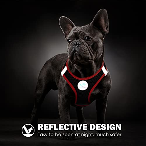PHOEPET Step-in Dog Harness,Reflective Adjustable Dog Vest Harness, Soft Pet Walking Jacket with 2 Metal Leash Hooks for Dog and Cat(Black Base & Red Straps,L) - color: Black Base & Red Straps, size: L (Neck: 12-13.5”,Chest: 16-18”)