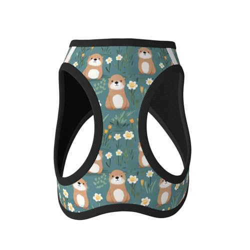 Flowers Otters Pet Harness Escape Proof Dog Harness Adjustable Mesh Padded Reflective Dog Vest Harness and Leash Set Large - color: Style 10, size: Large