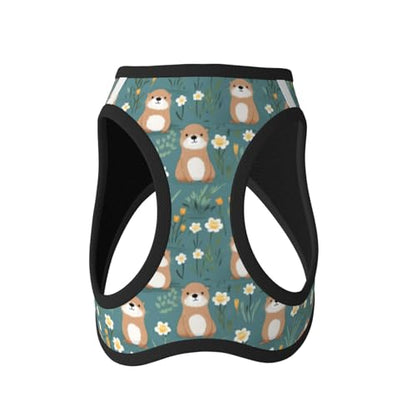 Flowers Otters Pet Harness Escape Proof Dog Harness Adjustable Mesh Padded Reflective Dog Vest Harness and Leash Set Large - color: Style 10, size: Large