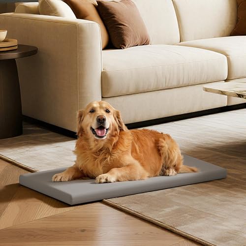 Orthopedic Dog Bed for Small Dogs,Couch Pet Bed Removable Washable Cover,Grey (M) - size: M