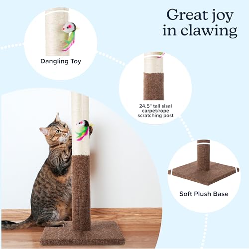 PETMAKER Cat Scratching Post - Tall Scratcher for Cats and Kittens with Sisal Rope and Carpet, Hanging Mouse Toy for Interactive Play (24.5 Inch) - color: Brown