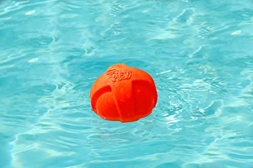 Hartz Dura Play Bacon Scented Squeak Ball Dog Toy for Small Breeds, 3 Pack - size: 3 Count, style: Small Ball