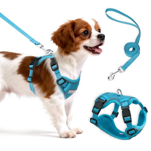 Small Dog Harness and Leash Set, Reflective Soft Breathable Mesh Vest, 3 Buckles, Adjustable Neck and Chest,Step in Dog Harness for Walking, Running, Training, Turquoise, M - color: Turquoise, size: Medium